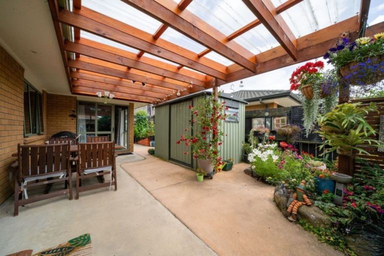 Photo of property in 11a Harris Place, Ngatea, 3503