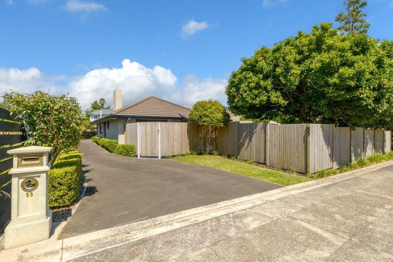 Photo of property in 55 Kings Avenue, Matua, Tauranga, 3110
