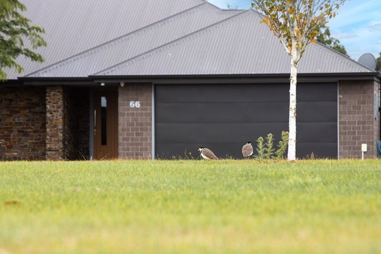 Photo of property in 66 Preston Avenue, West Melton, 7618