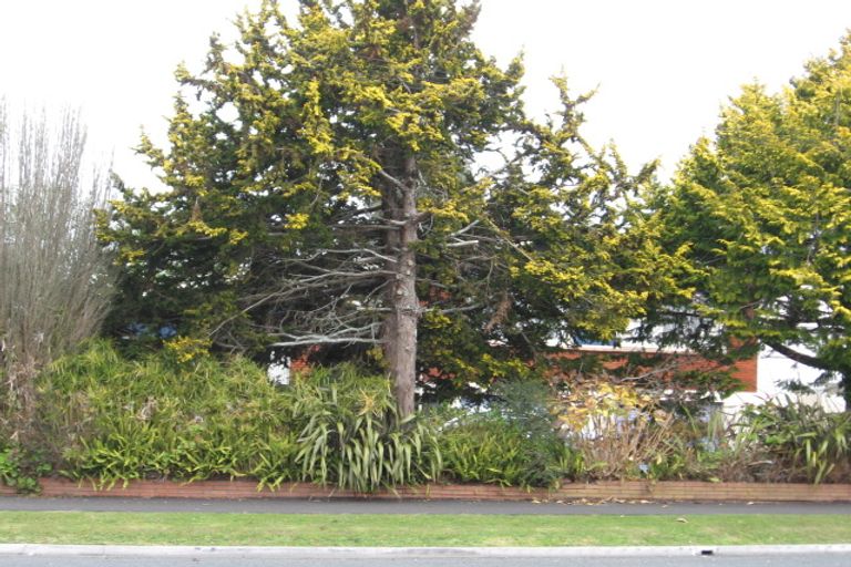 Photo of property in 6 Alfred Street, Fairfield, Hamilton, 3214