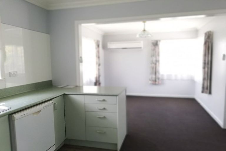 Photo of property in 20b Terrace Street, Putaruru, 3411