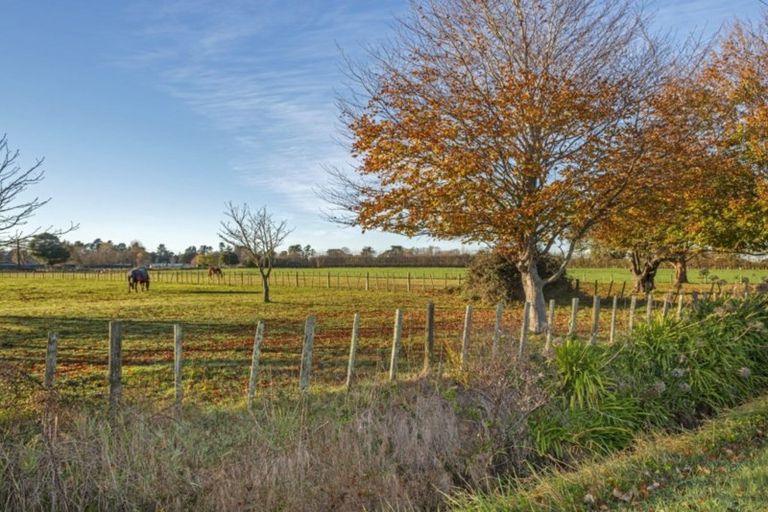 Photo of property in 21 Parker Lane, Makaraka, Gisborne, 4010