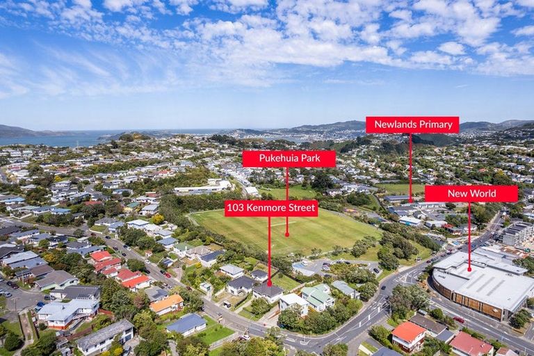 Photo of property in 103 Kenmore Street, Newlands, Wellington, 6037