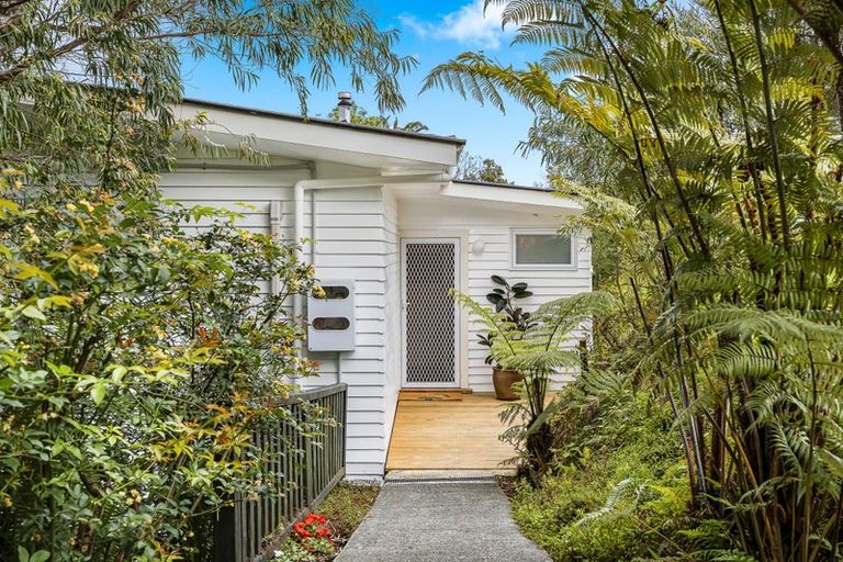 Photo of property in 155 Hutchinson Avenue, New Lynn, Auckland, 0600