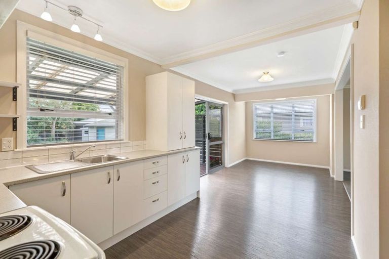 Photo of property in 56 Windsor Street, Terrace End, Palmerston North, 4410
