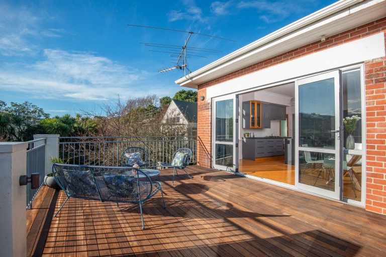 Photo of property in 113 Signal Hill Road, Opoho, Dunedin, 9010