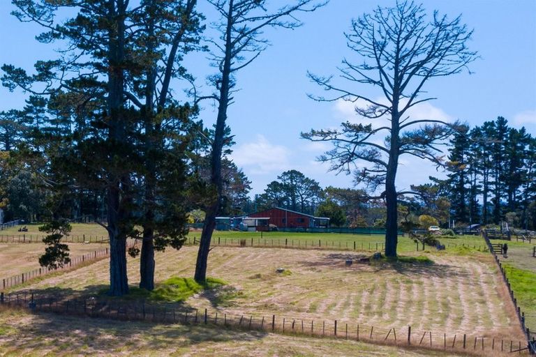 Photo of property in 137 Tawa Road, Kumeu, 0891