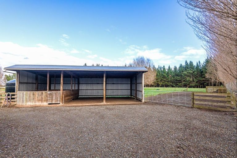 Photo of property in 334 Mount Biggs Road, Halcombe, Feilding, 4779
