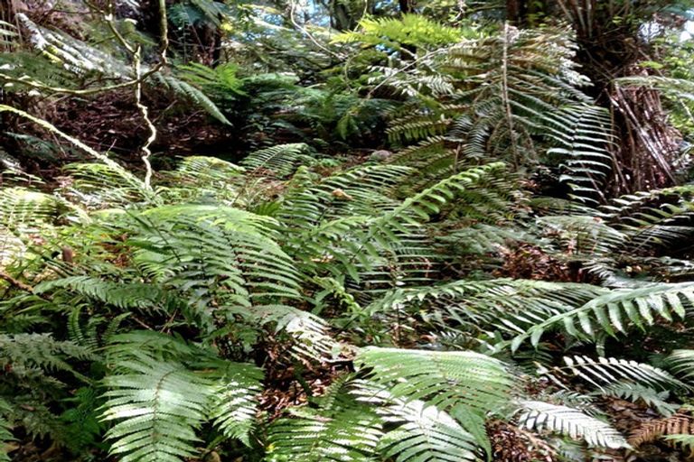 Photo of property in 132 Swetman Road, Waikino, Waihi, 3682