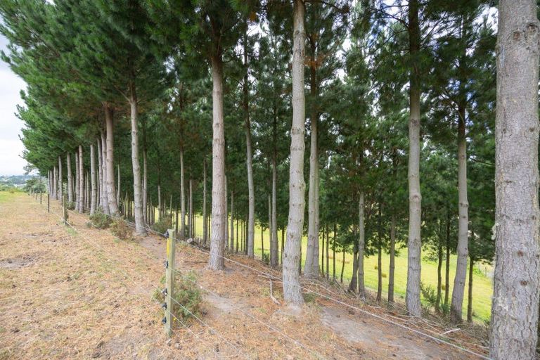 Photo of property in 22 Halcombe Road, Feilding, 4702