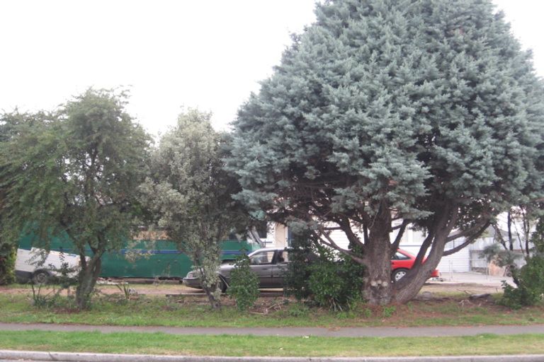 Photo of property in 60 Seddon Crescent, Marewa, Napier, 4110