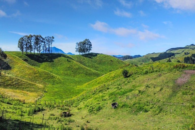 Photo of property in 109 Mcivor Road, Rotoma, Whakatane, 3192