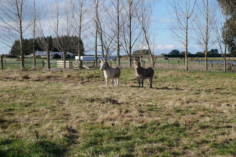 Photo of property in 31 Timaru Road, Waimate, 7924