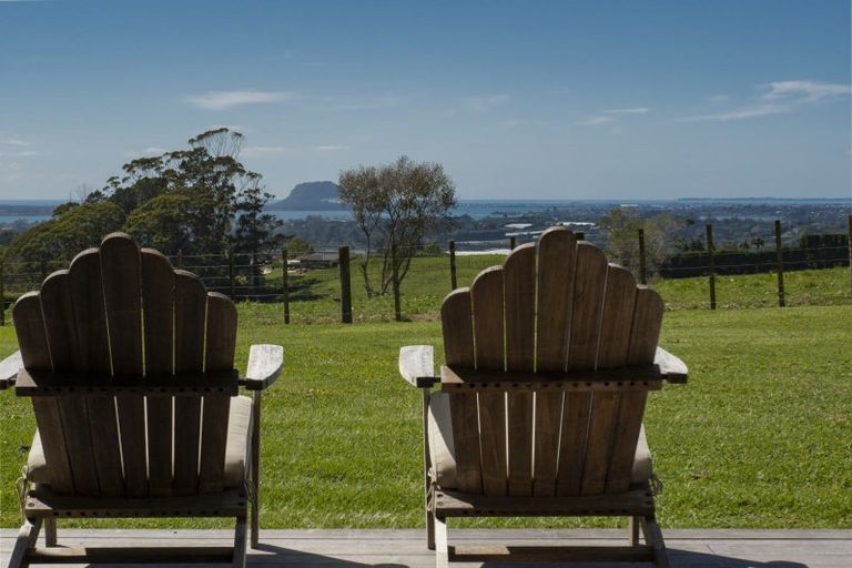 Photo of property in 423c Youngson Road, Whakamarama, Tauranga, 3179