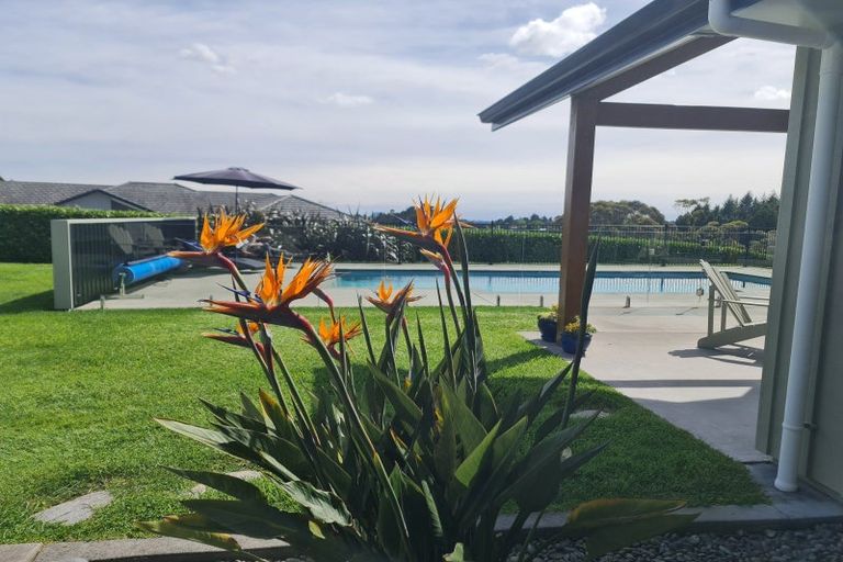 Photo of property in 55 Gasson Lane, Pyes Pa, Tauranga, 3173