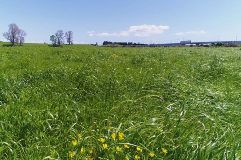 Photo of property in 1352 Te Puke Highway, Te Puke, 3186