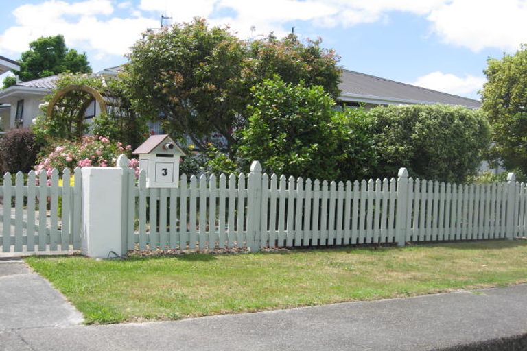 Photo of property in 3 Trewin Street, Feilding, 4702