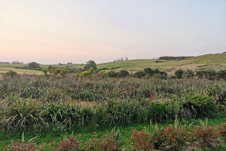 Photo of property in 667 Kaiwaka-mangawhai Road, Hakaru, Wellsford, 0975