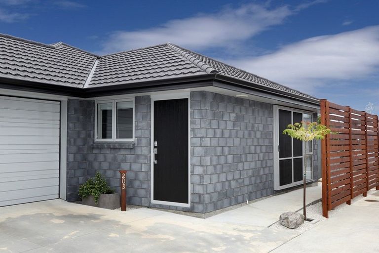 Photo of property in 203 Hapuka Street, Frimley, Hastings, 4120