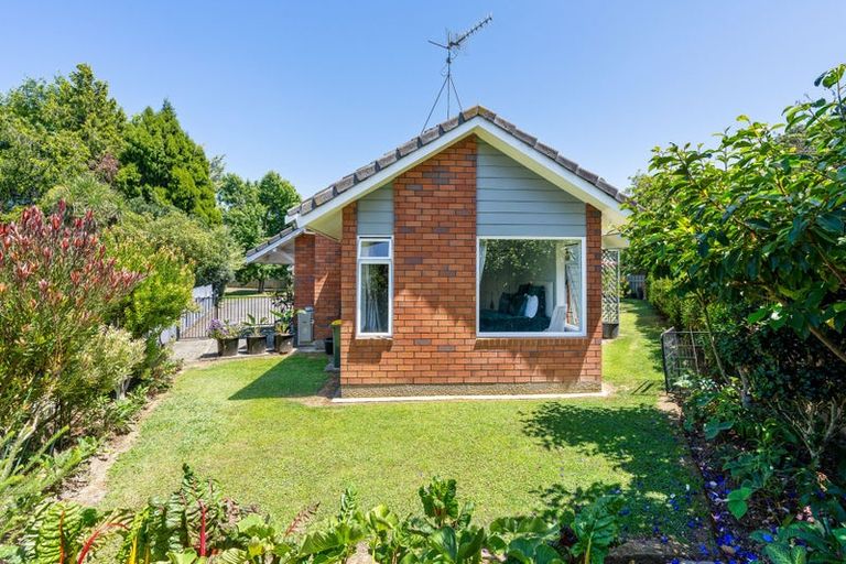 Photo of property in 6c Kawiu Road, Levin, 5510