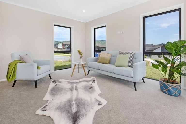 Photo of property in 123 John Burke Drive, Aotea, Porirua, 5024