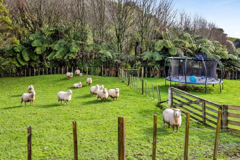 Photo of property in 1288 Richmond Road, Everett Park, Inglewood, 4389