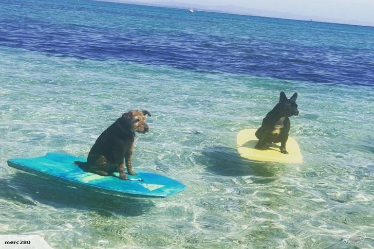 Photo of property in 750 Rangiputa Road, Karikari Peninsula, 0483