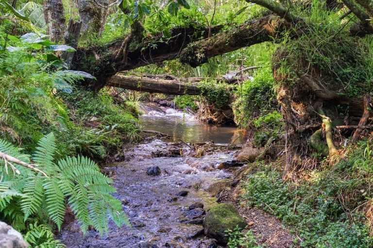 Photo of property in 15 Onoke Lane, Te Kamo, Whangarei, 0112