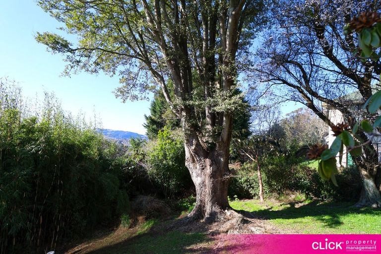 Photo of property in 21 Cockerell Street, Brockville, Dunedin, 9011