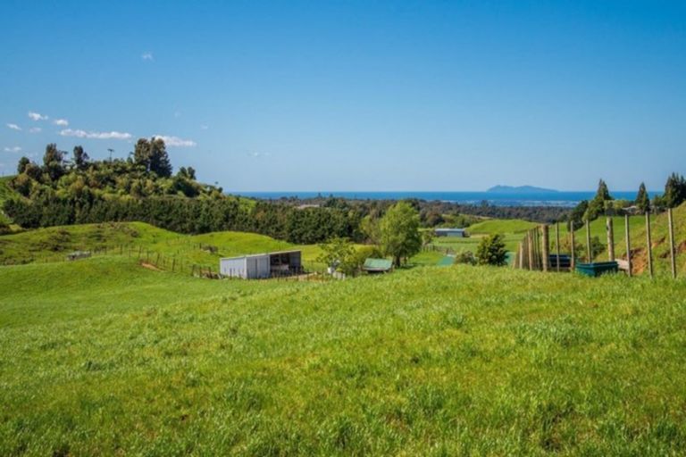 Photo of property in 956b Whakamarama Road, Whakamarama, 3179