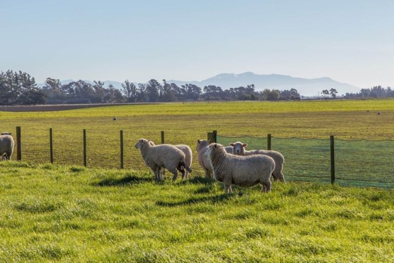 Photo of property in 238 Wabys Road, Southbridge, Leeston, 7683