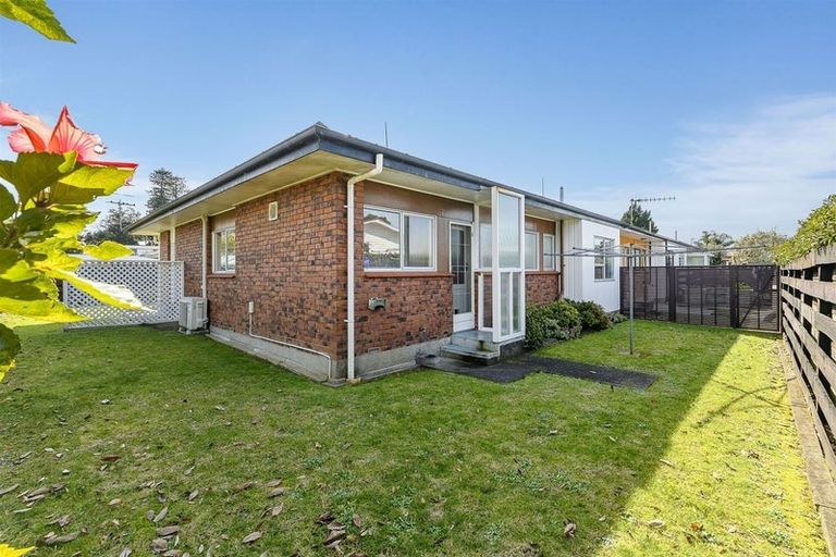 Photo of property in 16c Burrows Street, Tauranga South, Tauranga, 3112