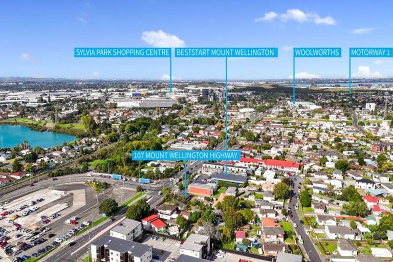 Photo of property in 107 Mount Wellington Highway, Mount Wellington, Auckland, 1060