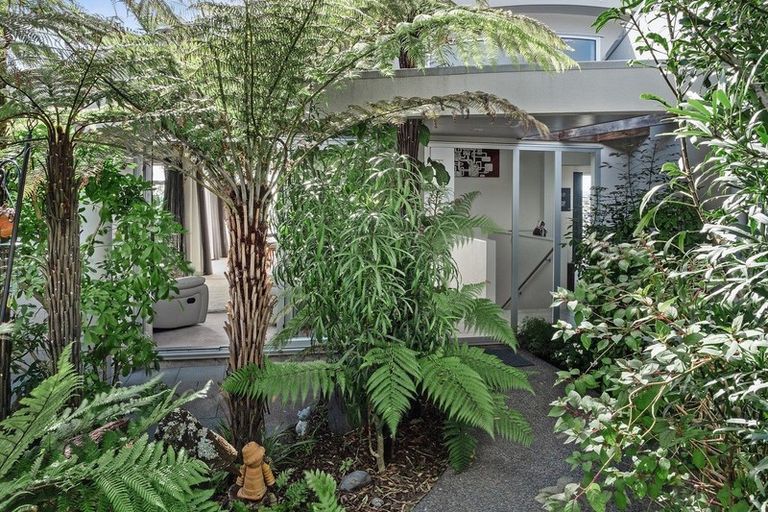 Photo of property in 41 Jarrah Park Drive, Pyes Pa, Tauranga, 3112