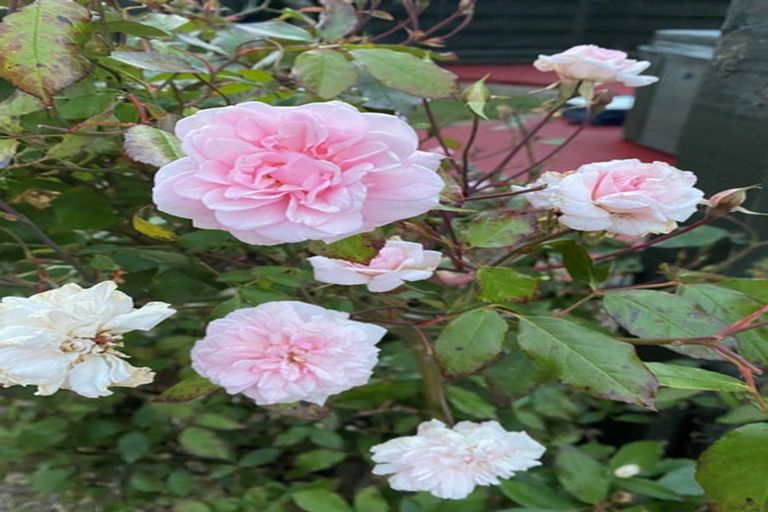 Photo of property in 61 Glassworks Road, Netherby, Ashburton, 7772