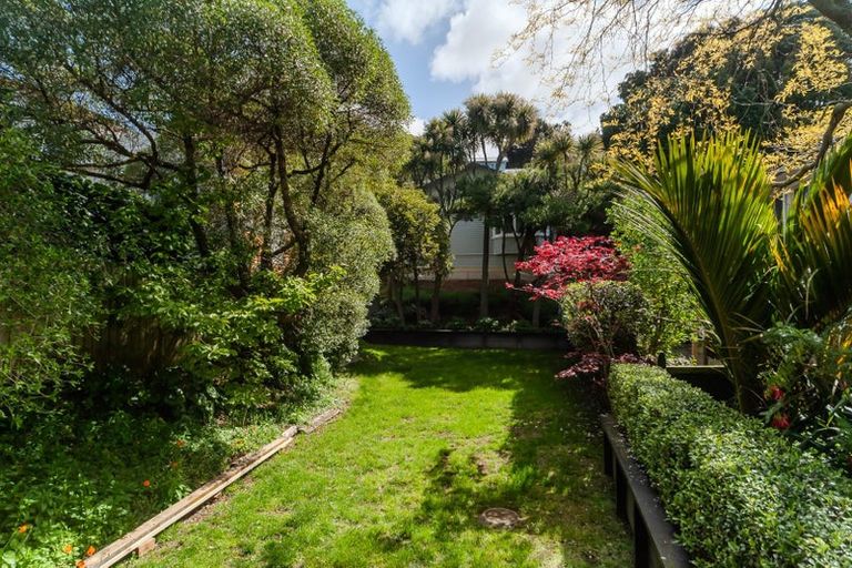 Photo of property in 100 Rintoul Street, Newtown, Wellington, 6021