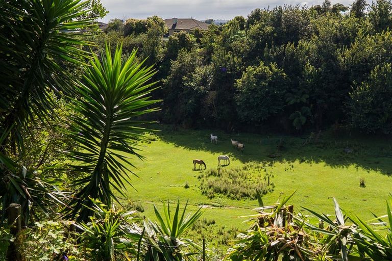 Photo of property in 17 Randell Place, Te Puke, 3119