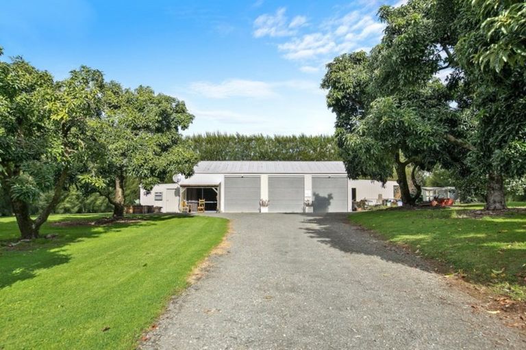 Photo of property in 203 Rea Road, Tahawai, Katikati, 3178