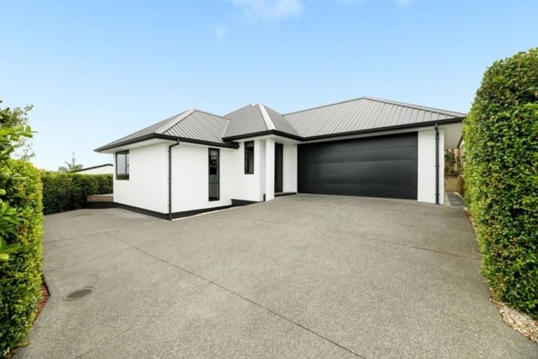 Photo of property in 4a Regent Street, Brookfield, Tauranga, 3110