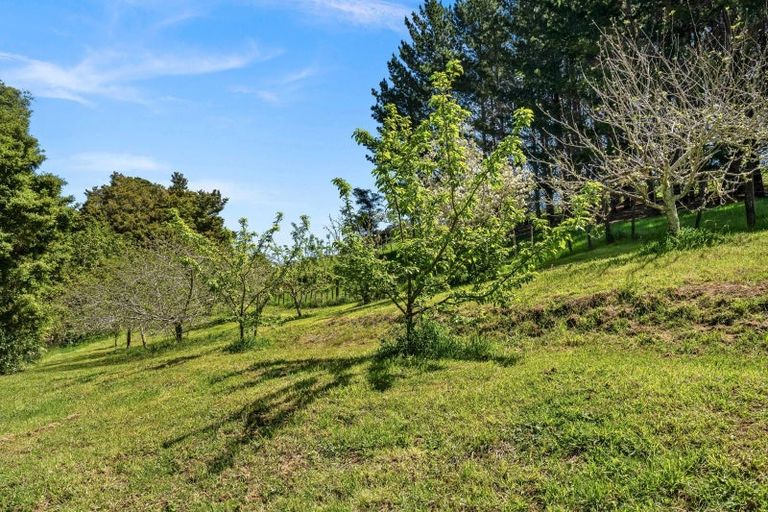 Photo of property in 55 Lauries Drive, Kauri, Kamo, 0185