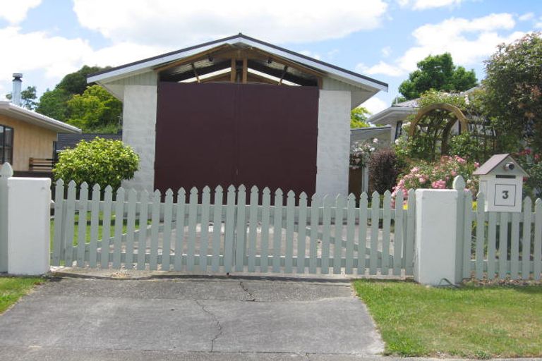 Photo of property in 3 Trewin Street, Feilding, 4702