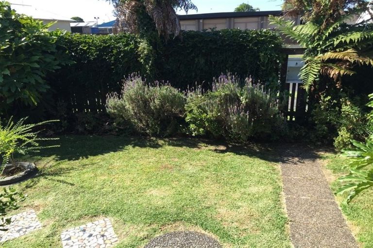 Photo of property in 52a Third Avenue, Tauranga, 3110