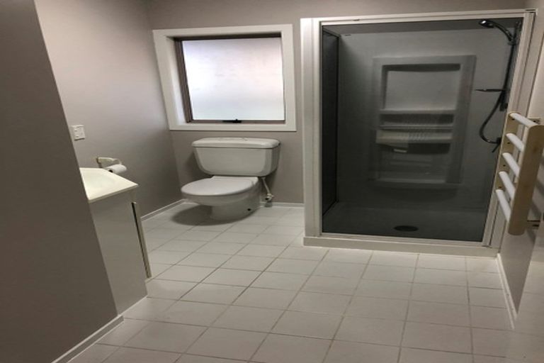 Photo of property in 91e Lake Domain Drive, Frankton, Hamilton, 3204