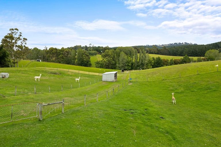 Photo of property in 43 Highland Road, Brighton, 9091