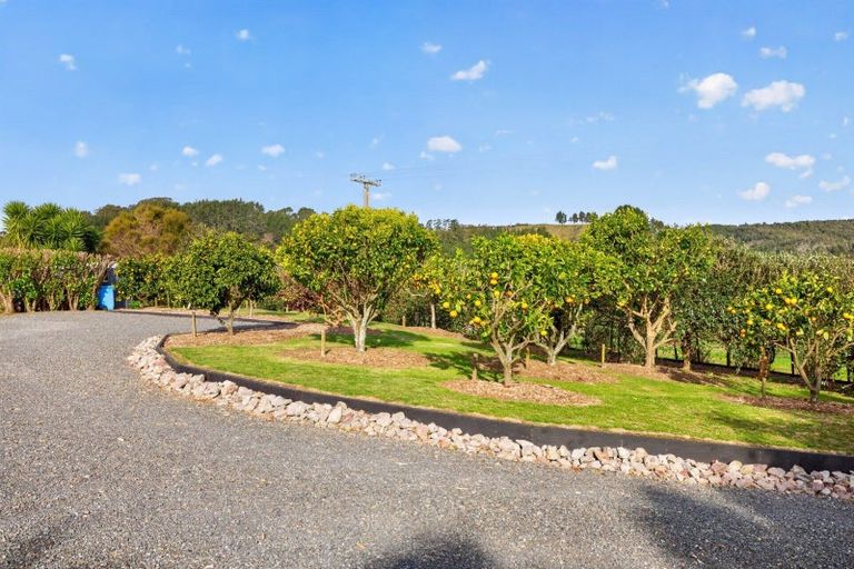 Photo of property in 157e Kaiate Falls Road, Waitao, Tauranga, 3175