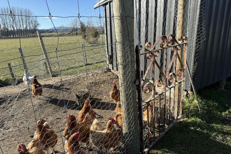 Photo of property in 745 Ardgour Valley Road, Tarras, Cromwell, 9383