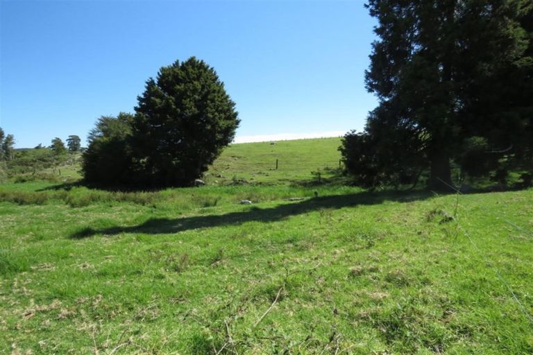 Photo of property in 229 Pakaru Road, Kawakawa, 0282