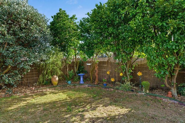 Photo of property in 14 Rodney Grove, Paraparaumu, 5032