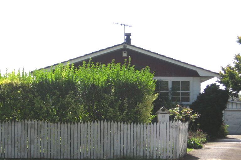 Photo of property in 22 Larissa Avenue, Henderson, Auckland, 0610