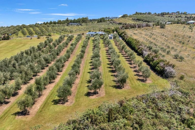 Photo of property in 79 Leccino Valley Road, Mangonui, 0494